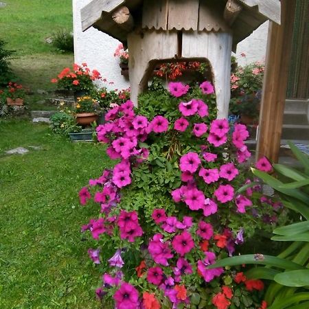 B&B Pra' Dei Cervi Telve Buitenkant foto