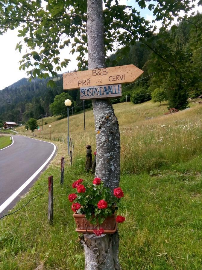 B&B Pra' Dei Cervi Telve Buitenkant foto