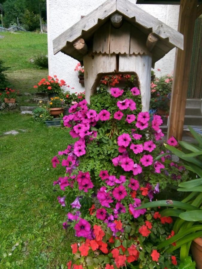 B&B Pra' Dei Cervi Telve Buitenkant foto
