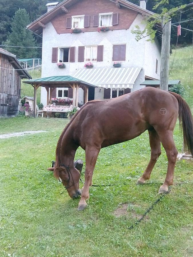 B&B Pra' Dei Cervi Telve Buitenkant foto