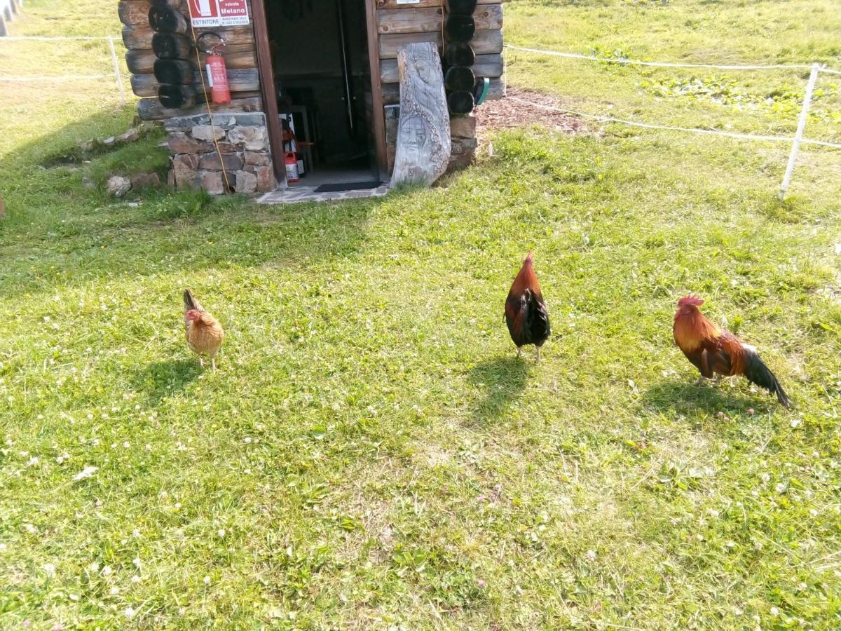 B&B Pra' Dei Cervi Telve Buitenkant foto