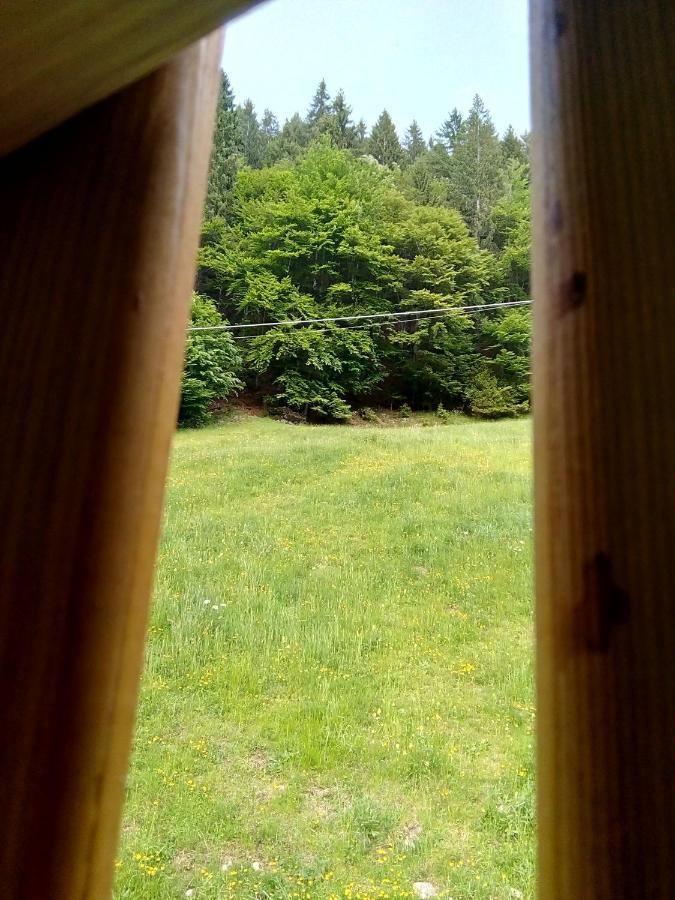 B&B Pra' Dei Cervi Telve Buitenkant foto