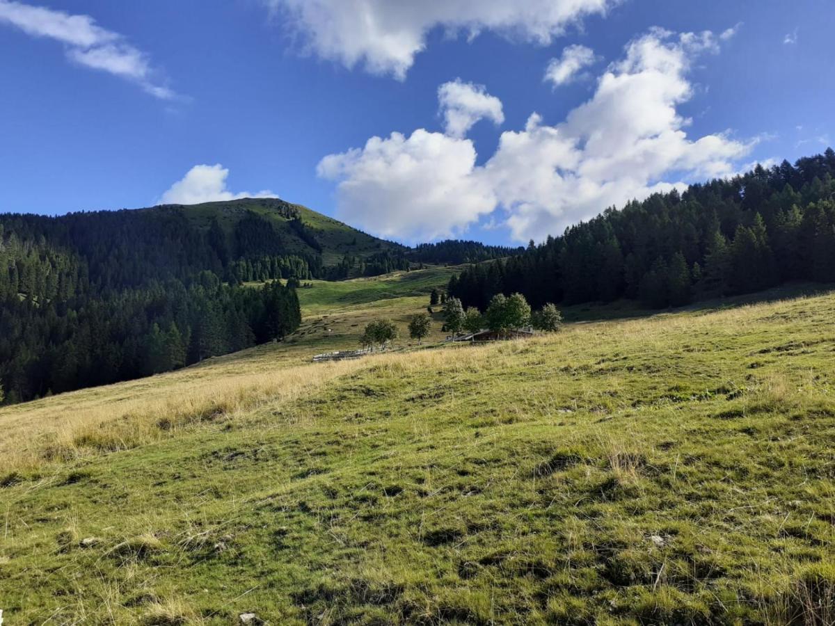 B&B Pra' Dei Cervi Telve Buitenkant foto