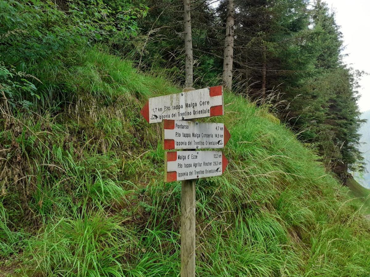 B&B Pra' Dei Cervi Telve Buitenkant foto