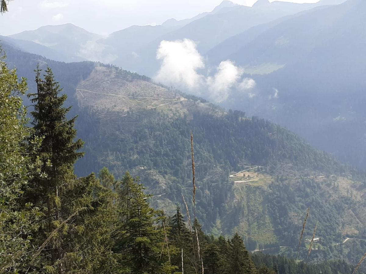 B&B Pra' Dei Cervi Telve Buitenkant foto