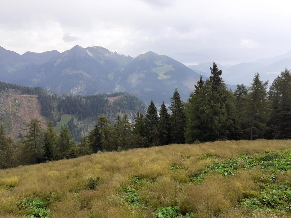 B&B Pra' Dei Cervi Telve Buitenkant foto
