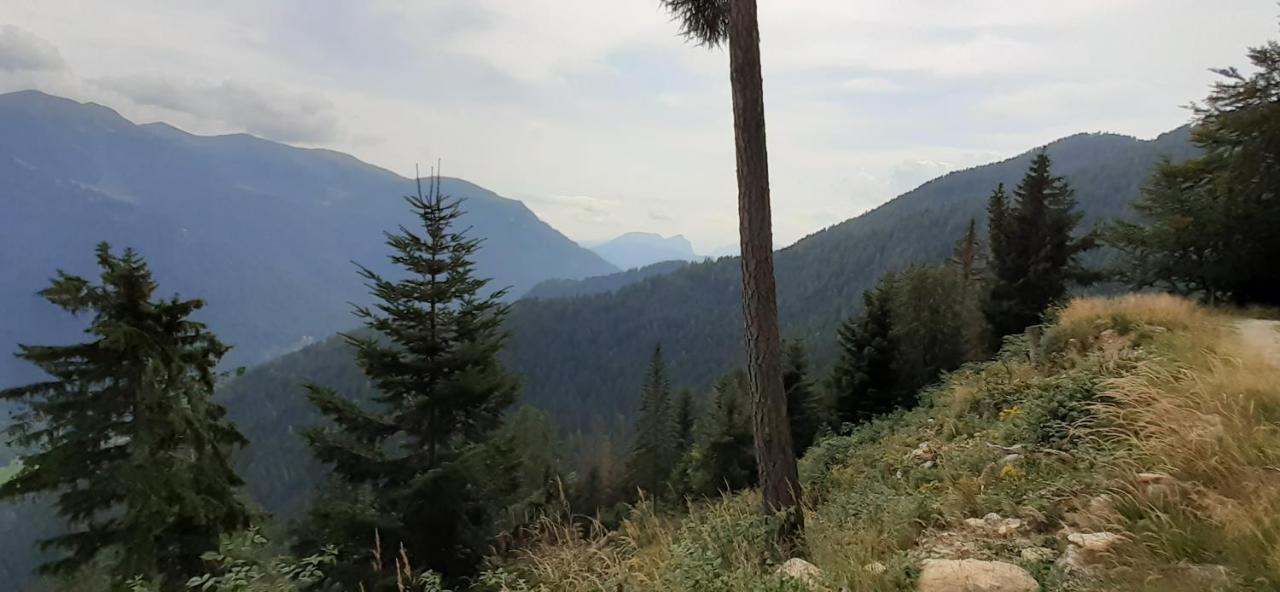 B&B Pra' Dei Cervi Telve Buitenkant foto