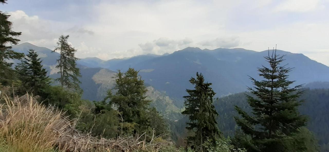 B&B Pra' Dei Cervi Telve Buitenkant foto