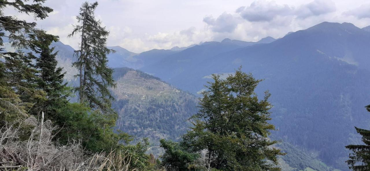 B&B Pra' Dei Cervi Telve Buitenkant foto